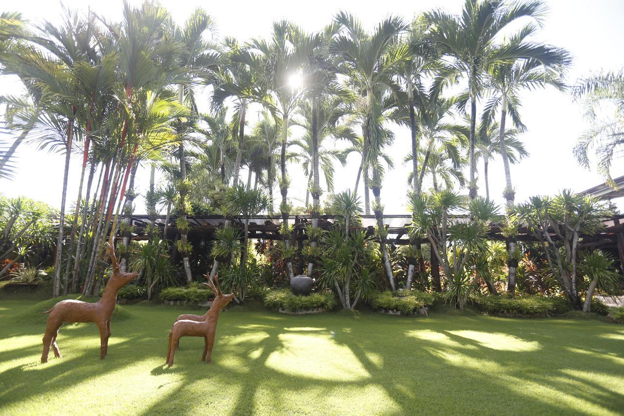 Victoria'S Haven Bed & Breakfast Dumaguete City Exterior photo